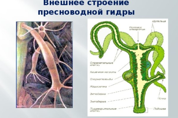 Кракен маркет только через тор