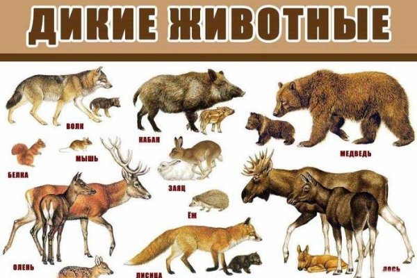 Mega market ссылка