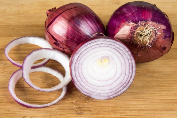 Krmp.cc onion не работает в тор